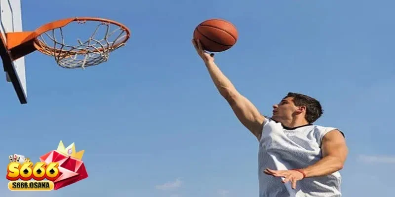 cá cược bóng rổ