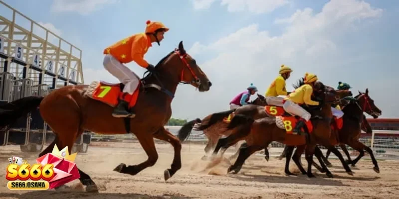 cá cược đua ngựa